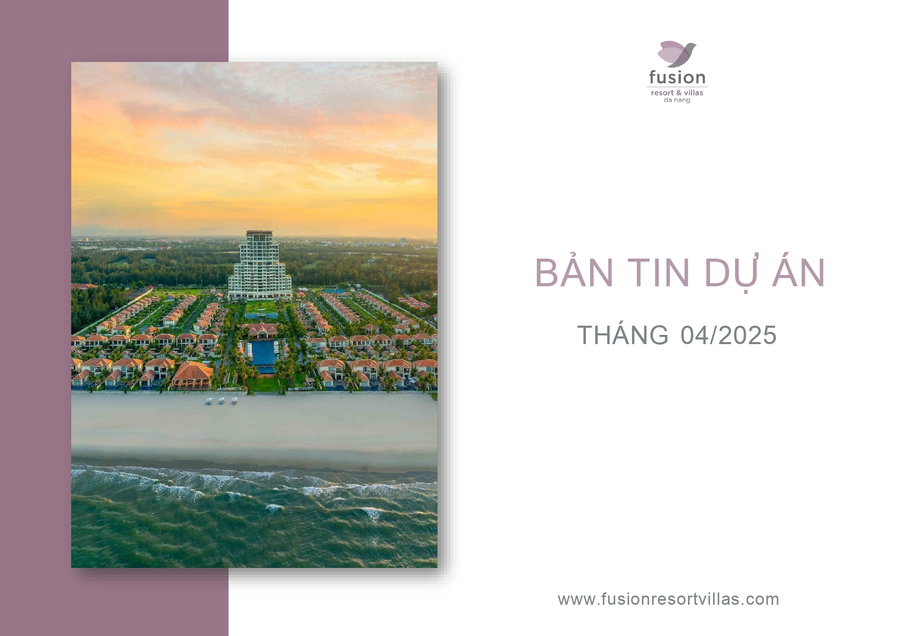 Bản Tin Dự Án Tháng 04/ 2025